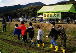 大明地区麦踏み大会