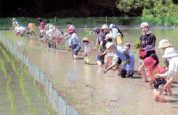 都市との交流（農業体験）