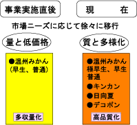 事業実施後の品種の動向