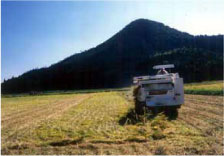 ほ場整備により機械化が図られ担い手農家の営農意欲が増大し、経営面積が拡大