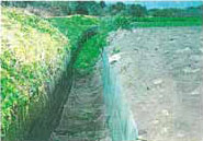 飛砂による堆砂状況（実施前）