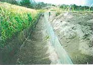 飛砂による堆砂状況（実施前）