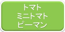 トマト