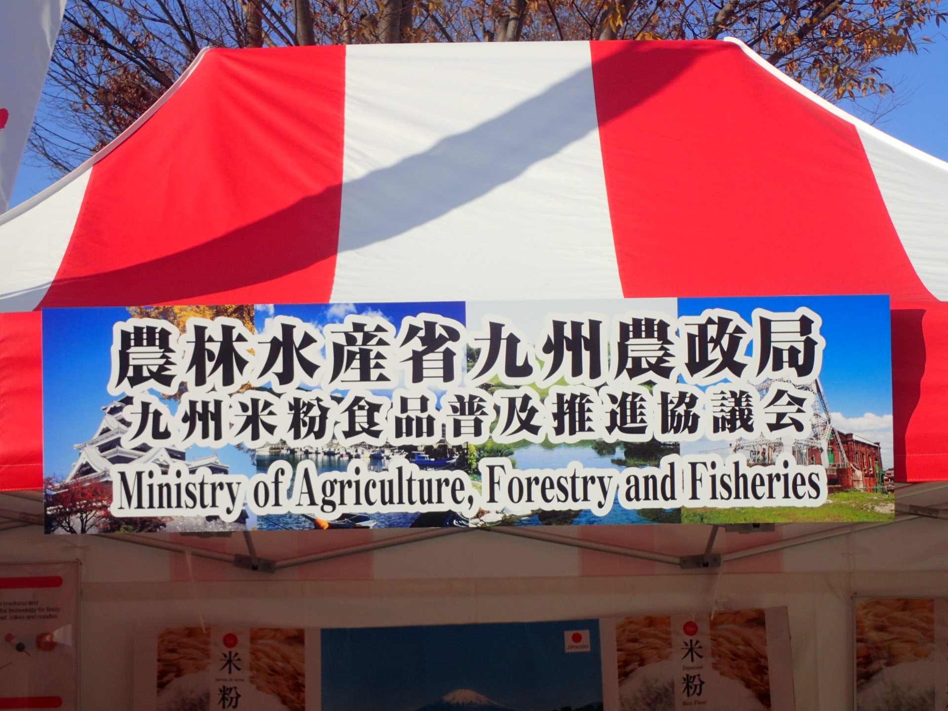 ハンド