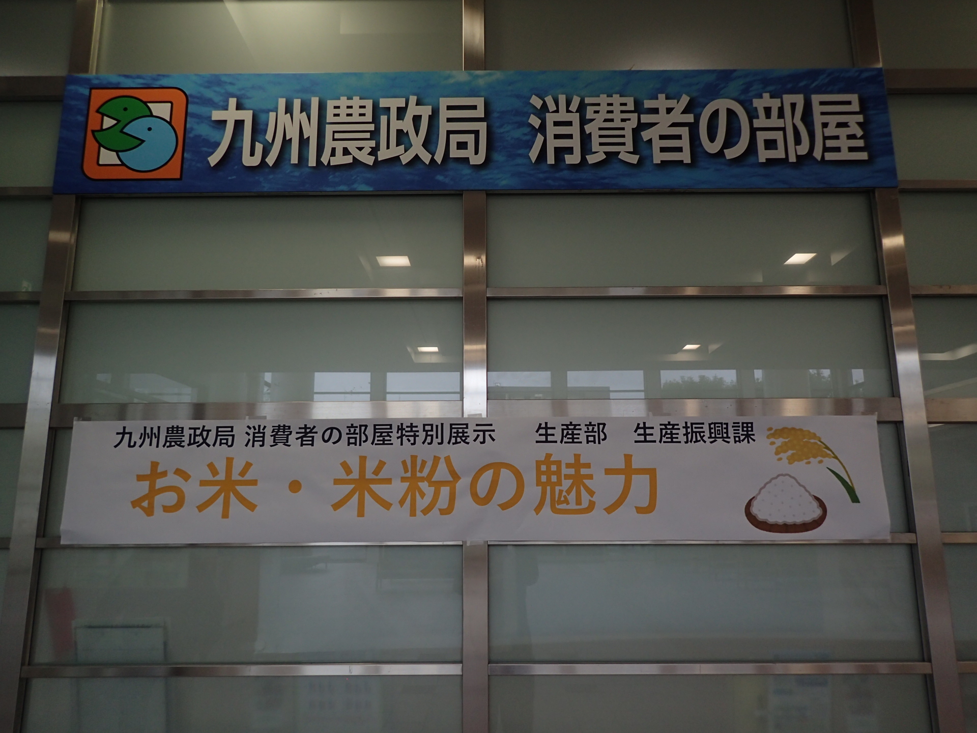 写真１