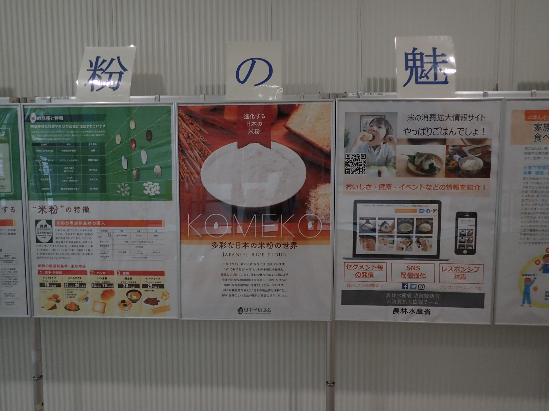 写真２
