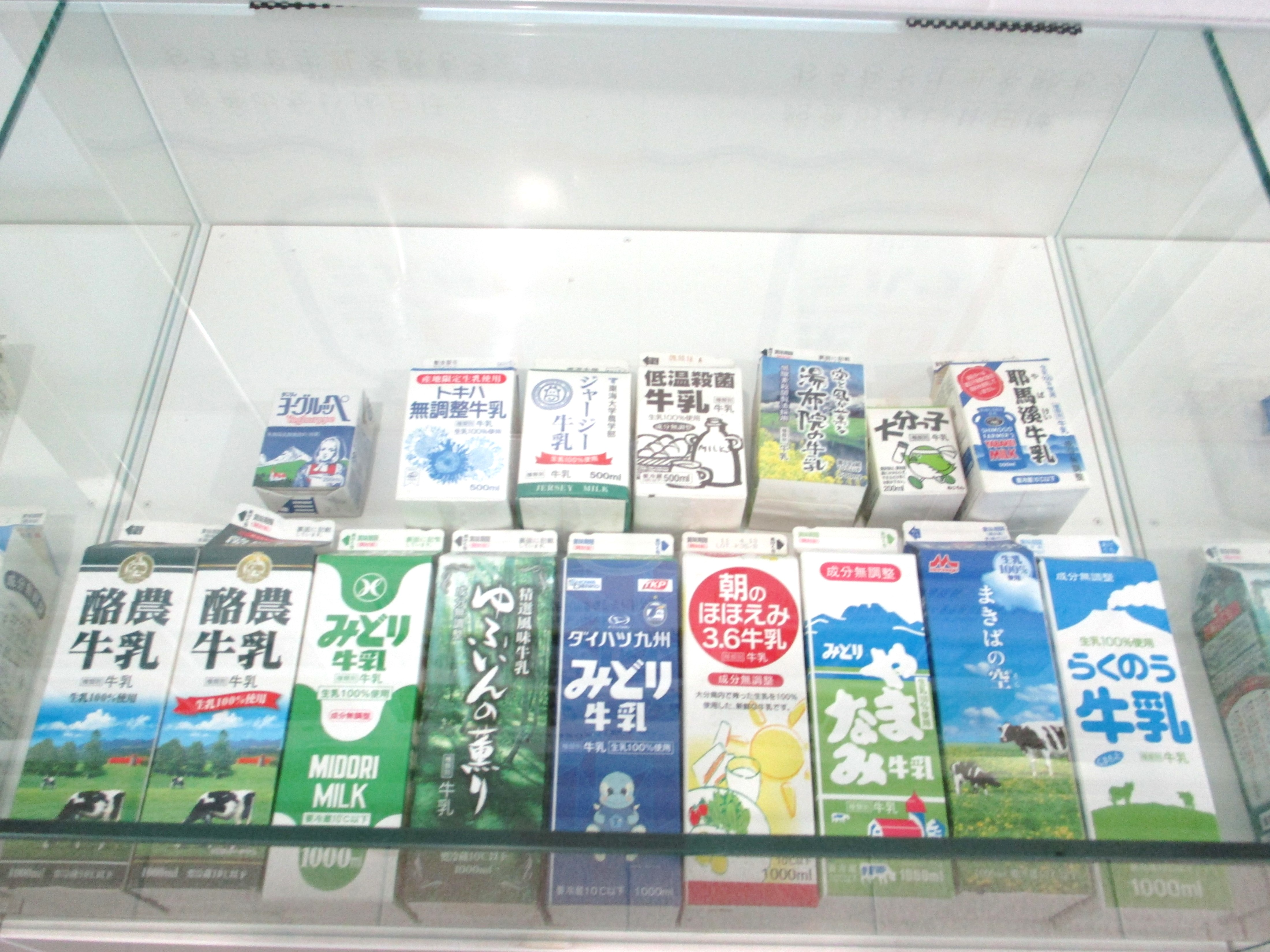 画像６
