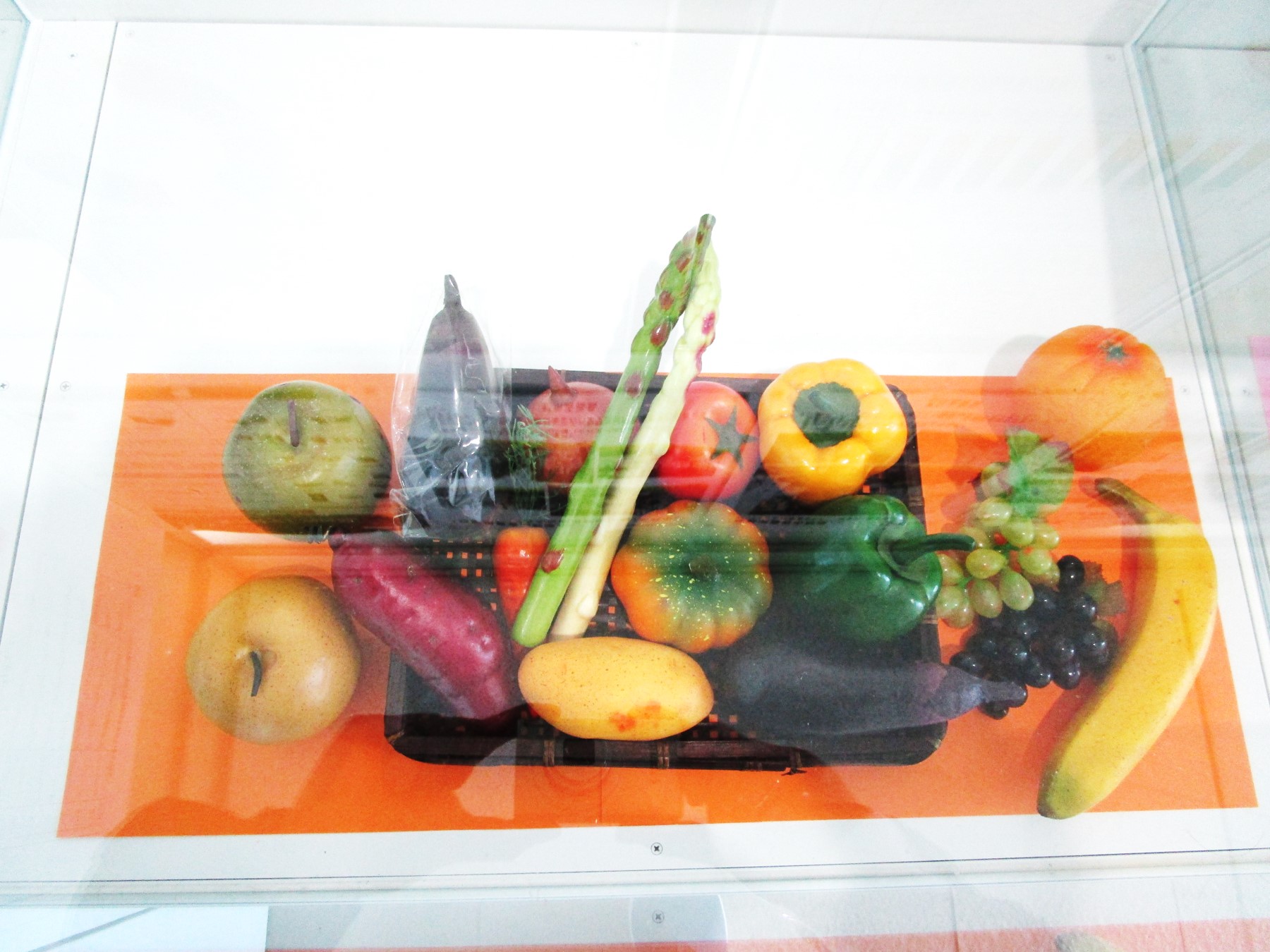 １階消費者の部屋ガラスケース内展示風景