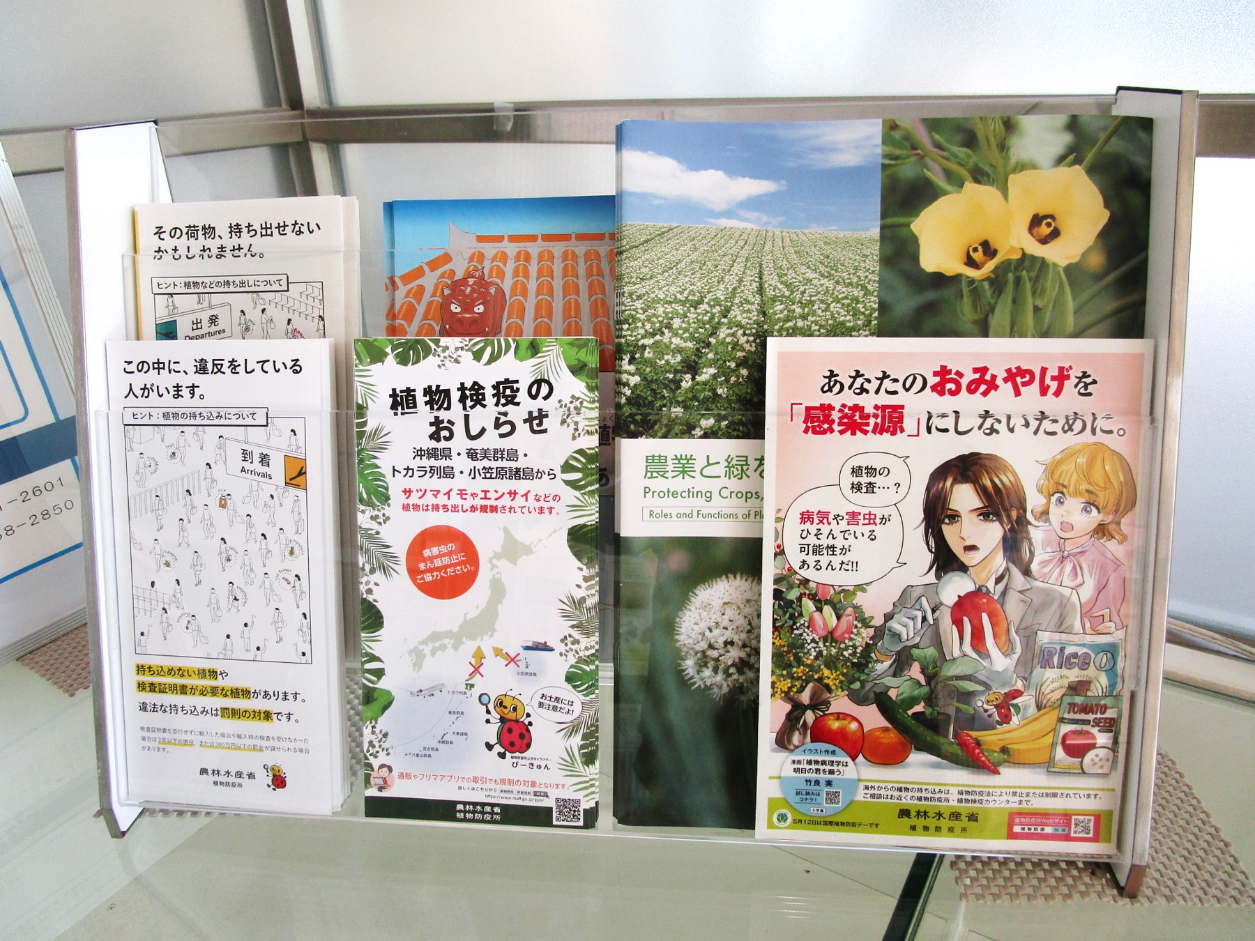 1階消費者の部屋パンフレットの展示風景