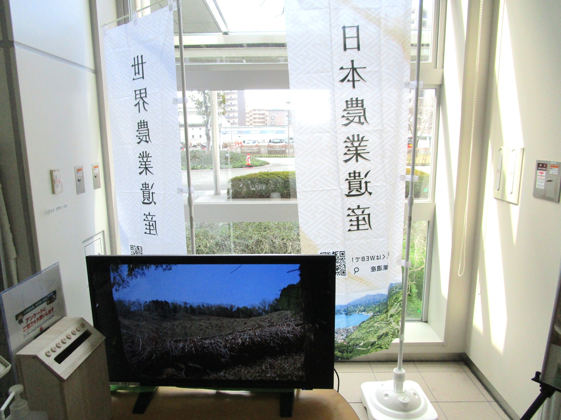 １階消費者の部屋のぼり旗等展示風景