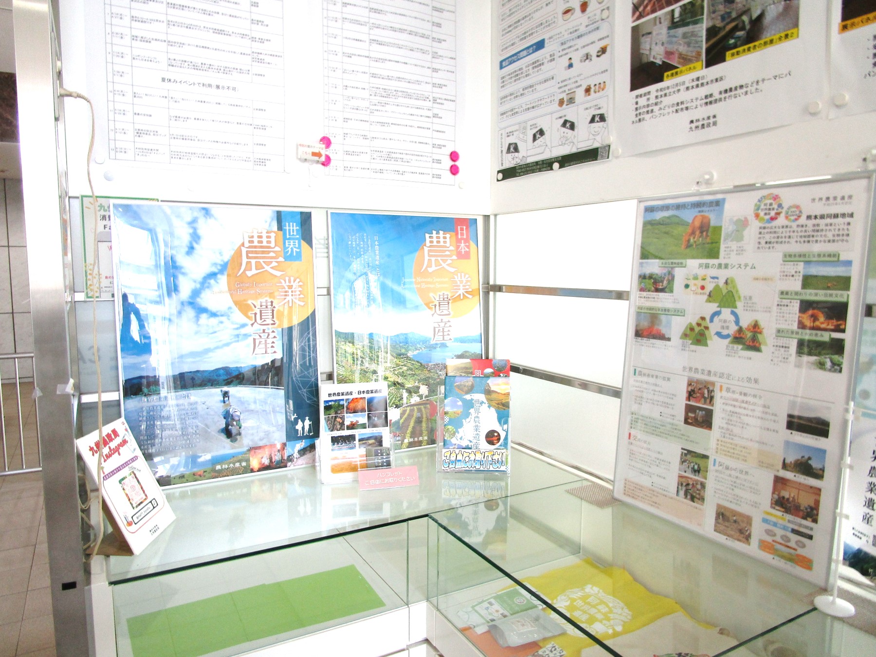 １階消費者の部屋　ガラスケース側の展示風景