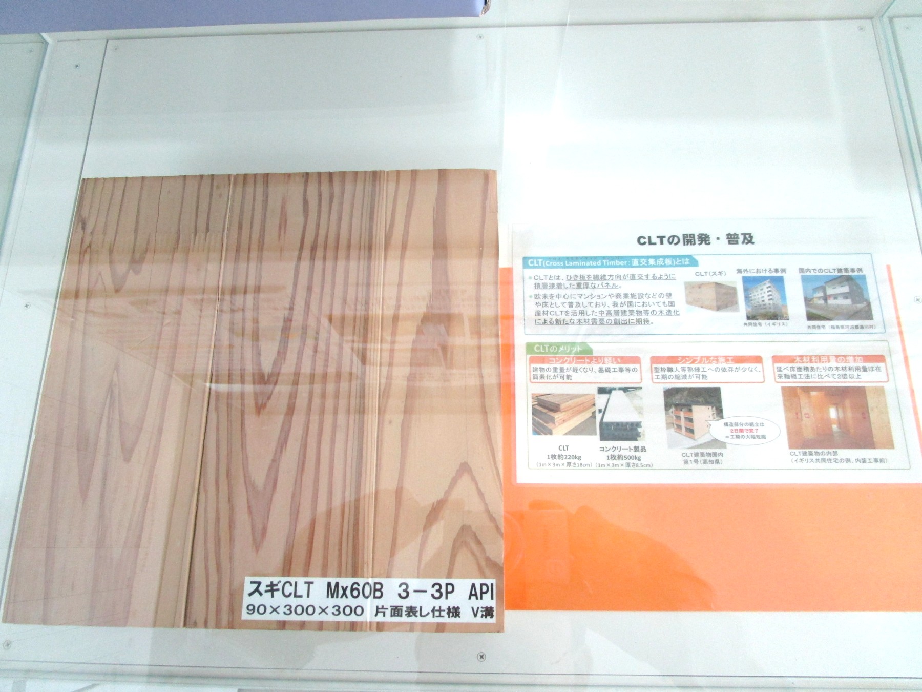 1階消費者の部屋ガラスケース内の展示風景