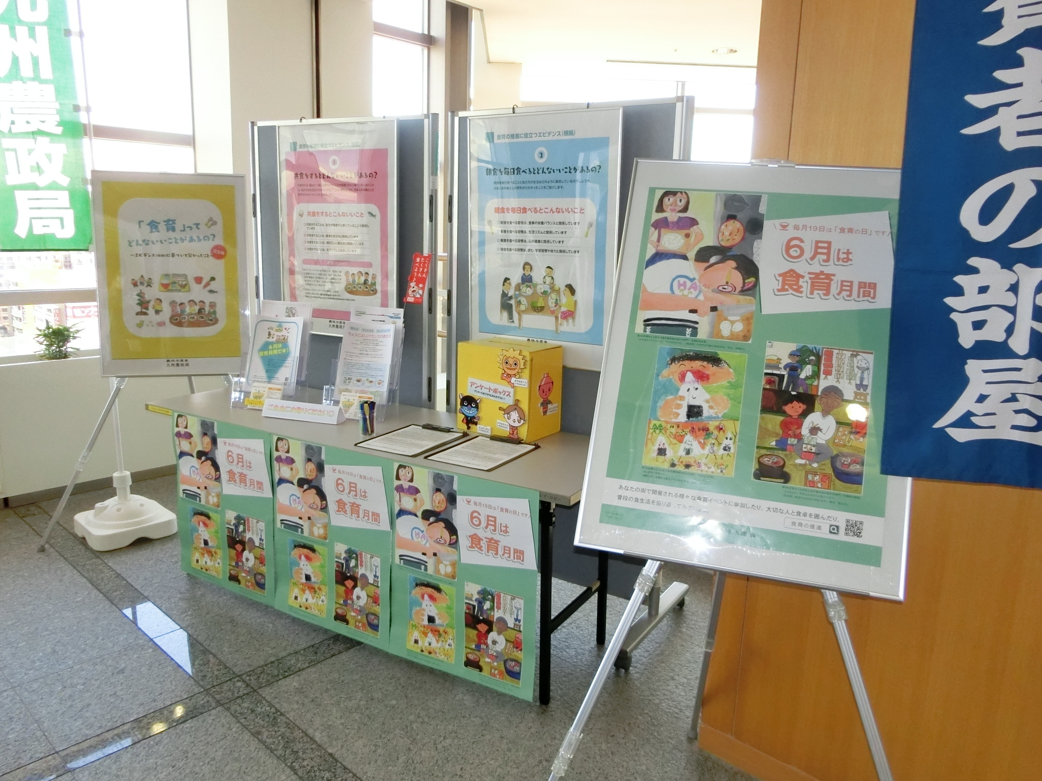 パレア展示