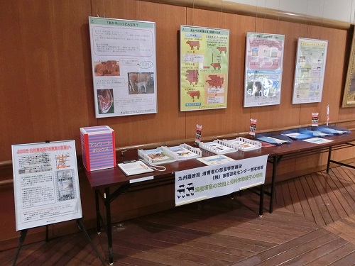 国産家畜6