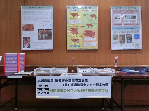 国産家畜5