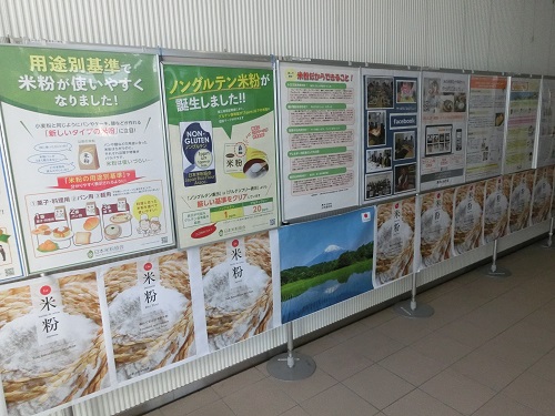 米粉2