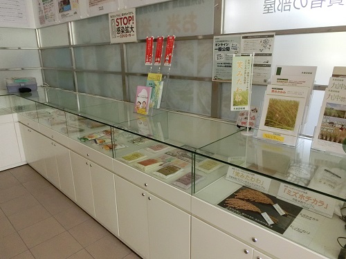 米粉3