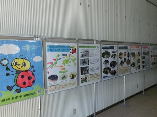 植物防疫3