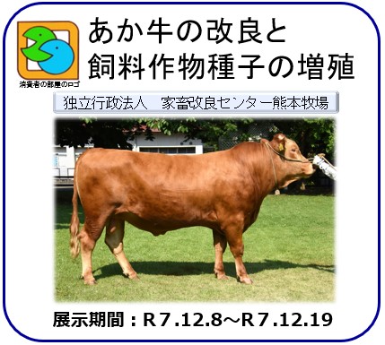 あか牛の改良と飼料作物種子の増殖