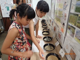 3  「米粉ってなあーに」「この穀物なんだ」