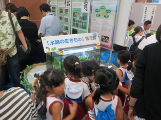 1  水路の生きものの展示