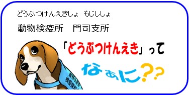 動物検疫所