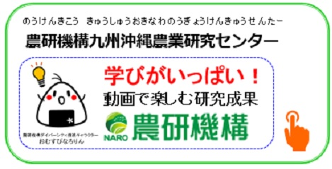 農研機構九州沖縄農業研究センター