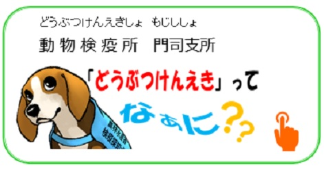 動物検疫所門司支所