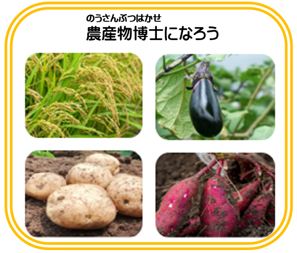 農産物博士になろう