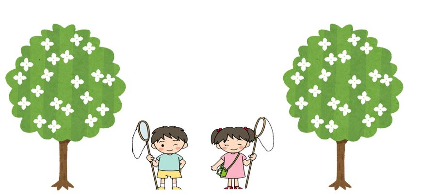 木