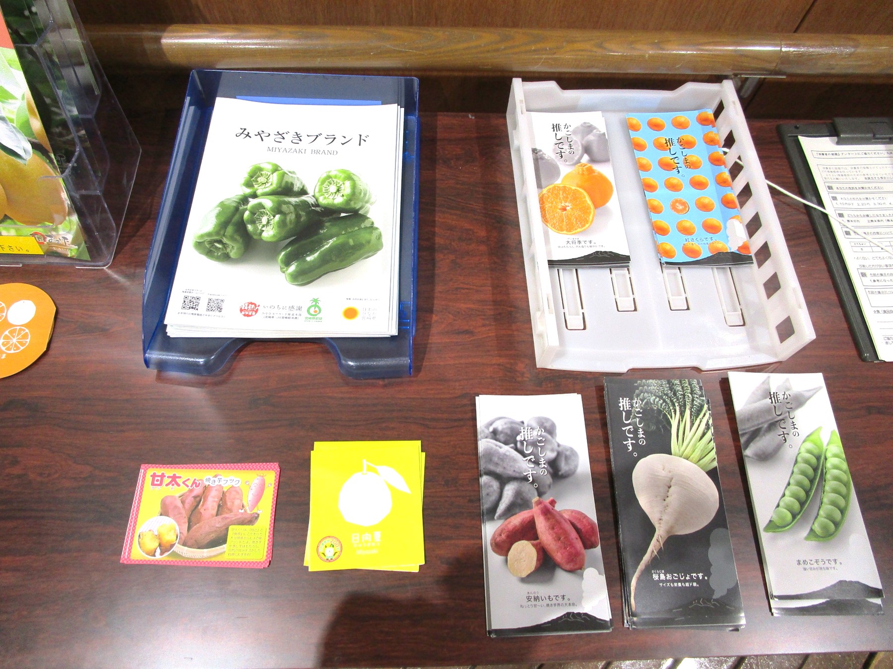 フードパルパンフレット展示風景