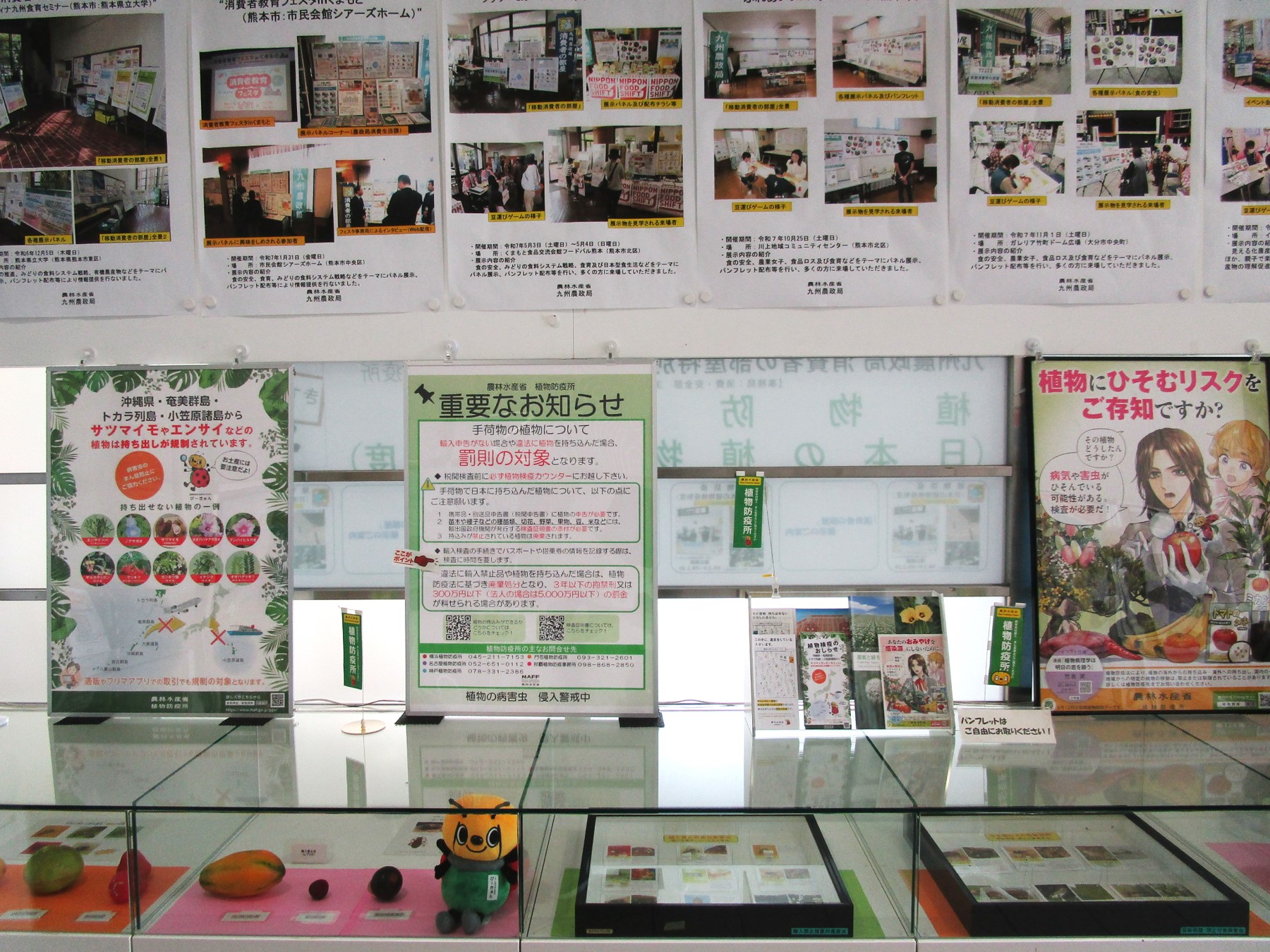 1階の消費者の部屋ガラスケース上の展示風景