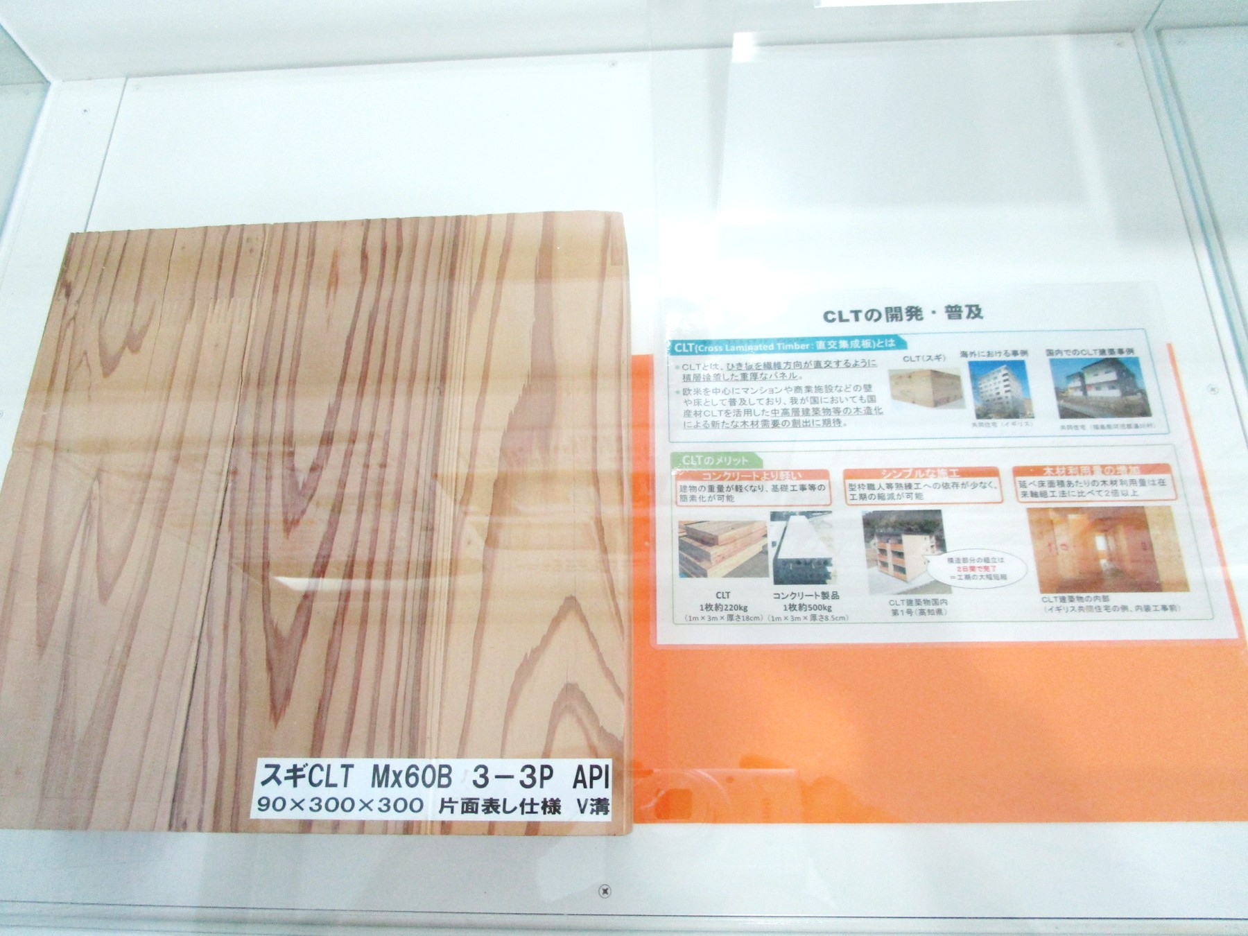 1階消費者の部屋ガラス内の展示風景