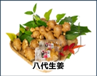 八代生姜