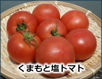 くまもと塩トマト