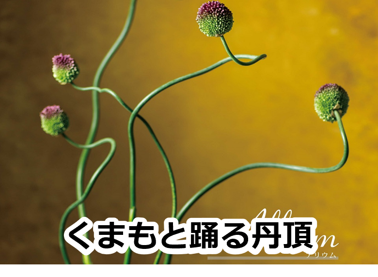 くまもと踊る丹頂
