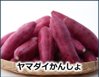 ヤマダイかんしょ