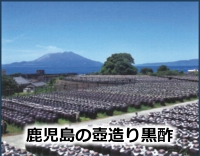 鹿児島の壺造り黒酢
