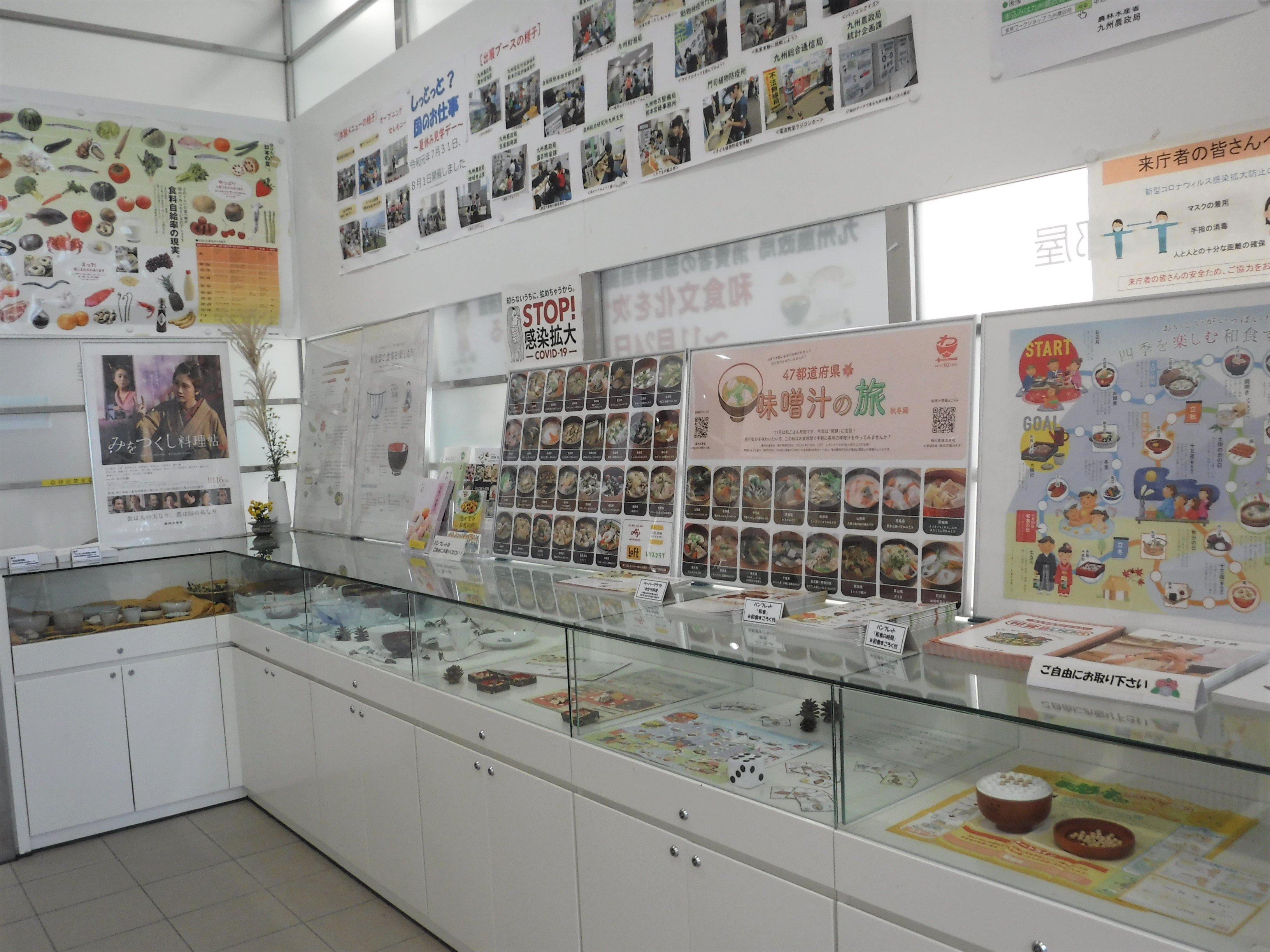 展示ケース全景