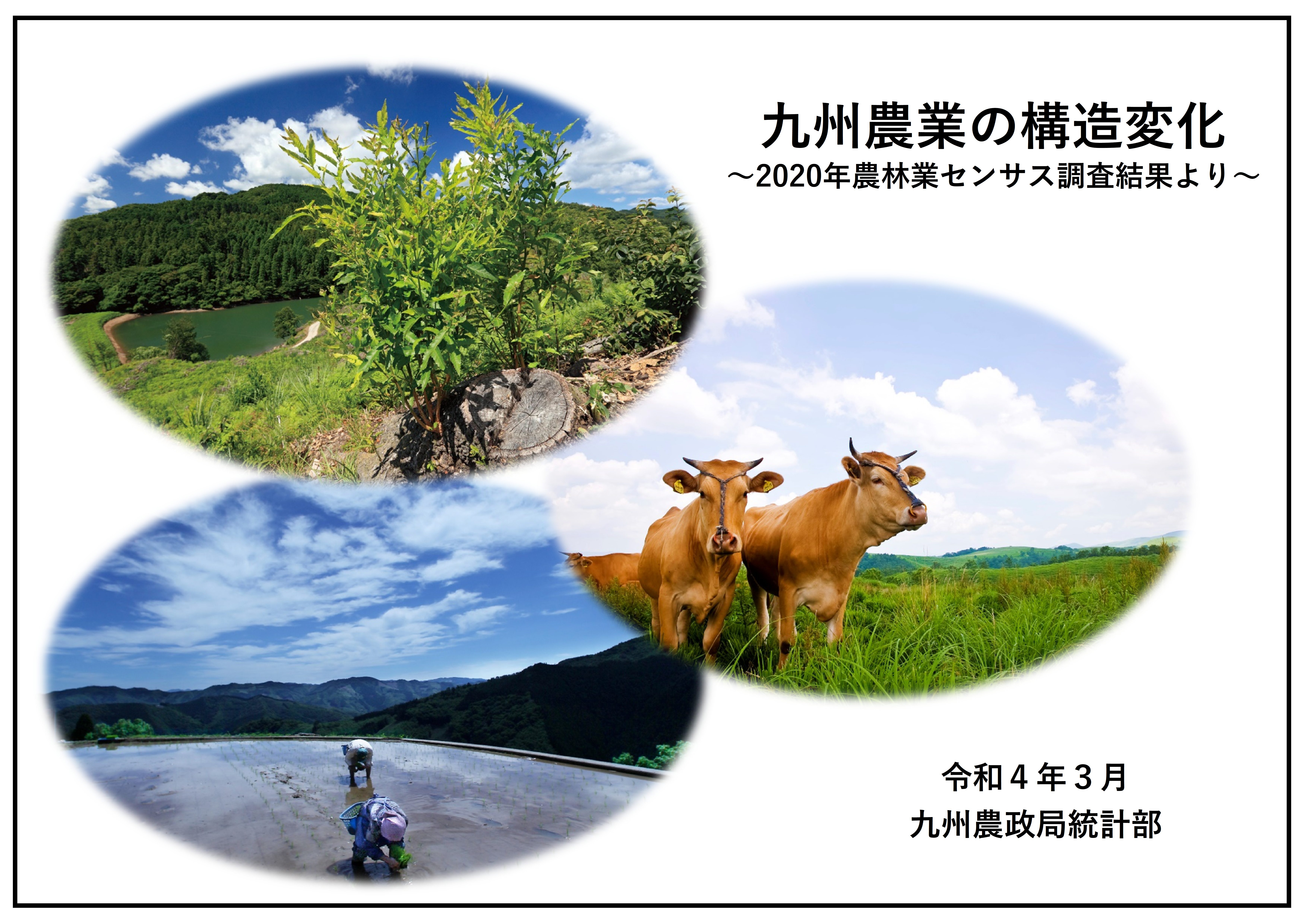 農業の構造変化