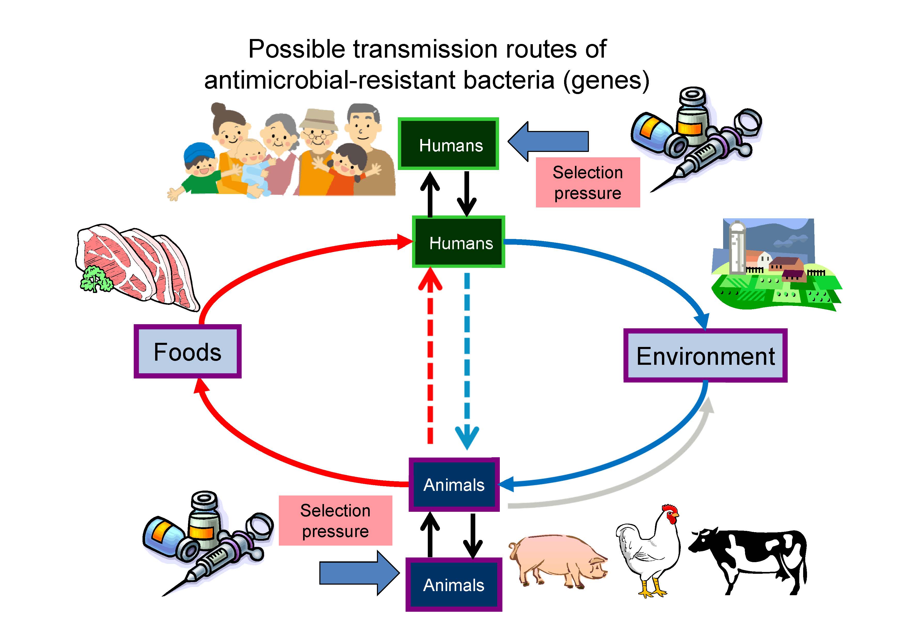 WhatisAMR.jpg