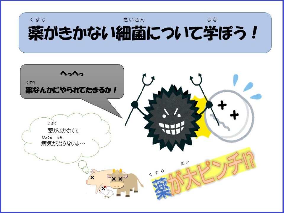 こども向けページのご案内：動物医薬品検査所