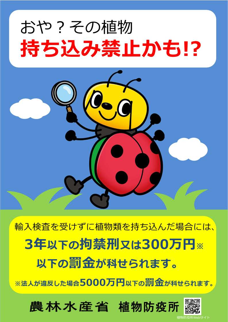 p-kyunposter20250626.jpg