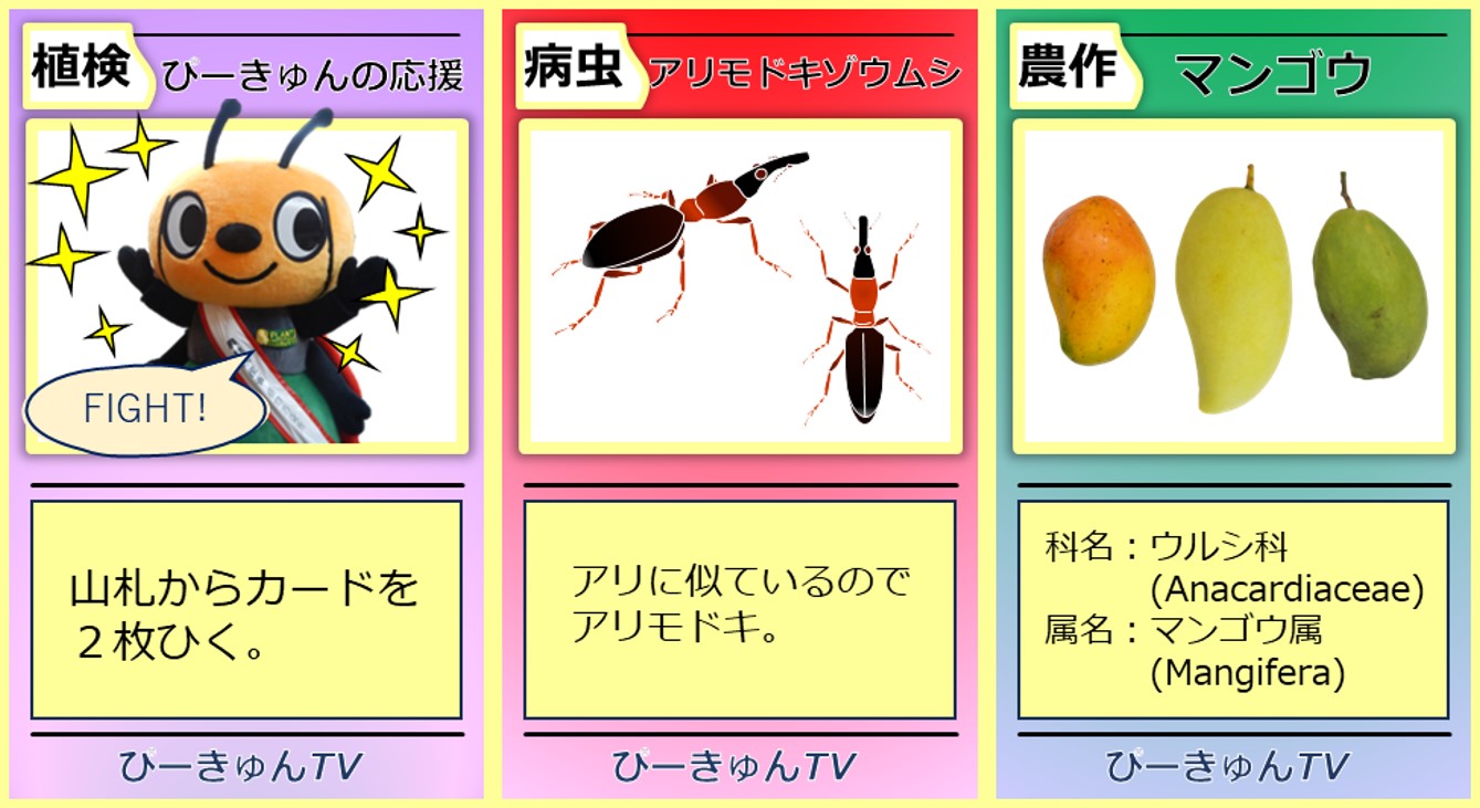 カードバトルのイメージ画像