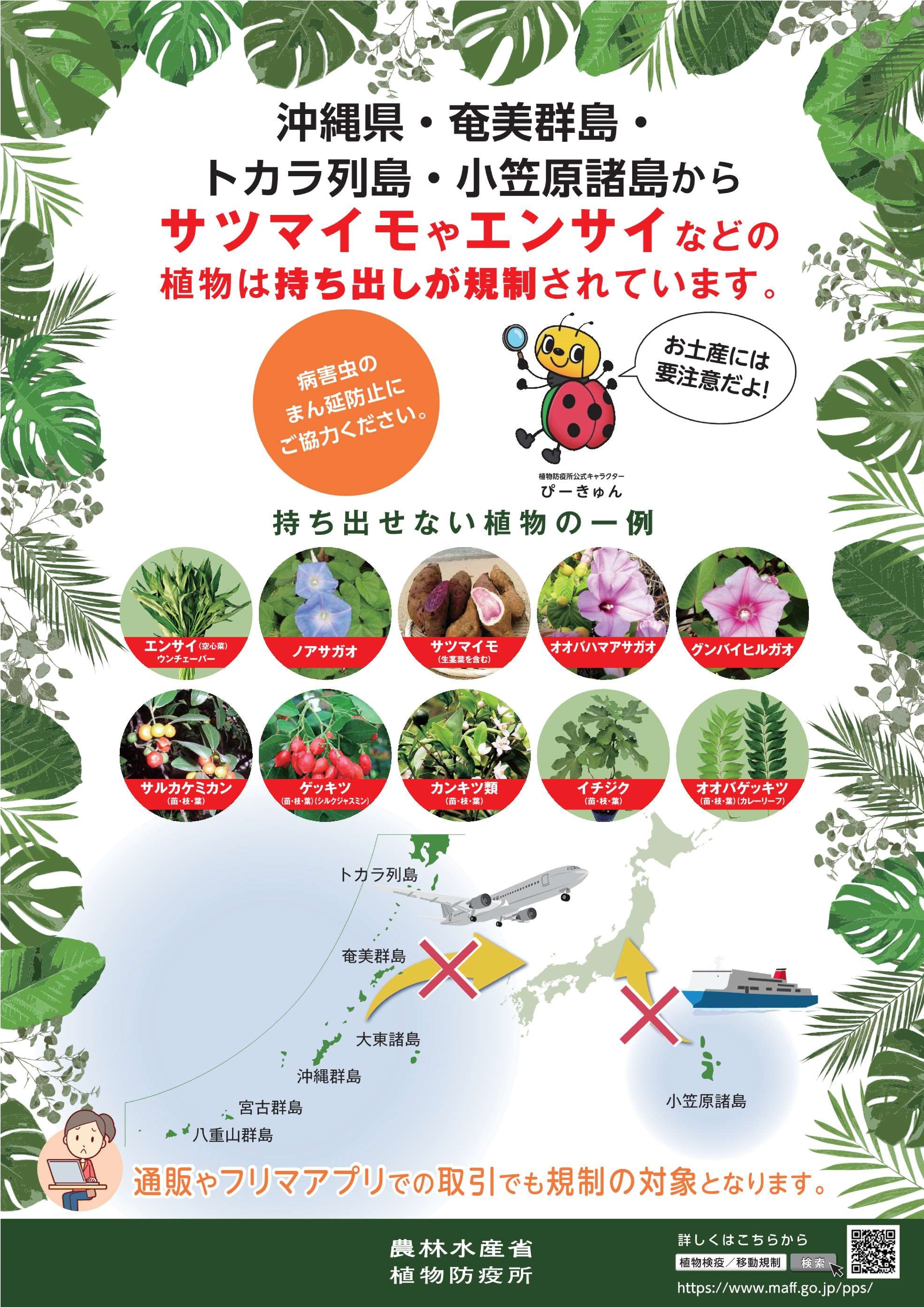 国内検疫ポスター
