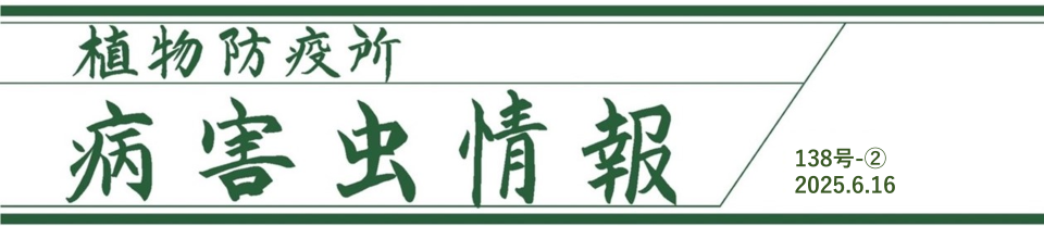 病害虫情報