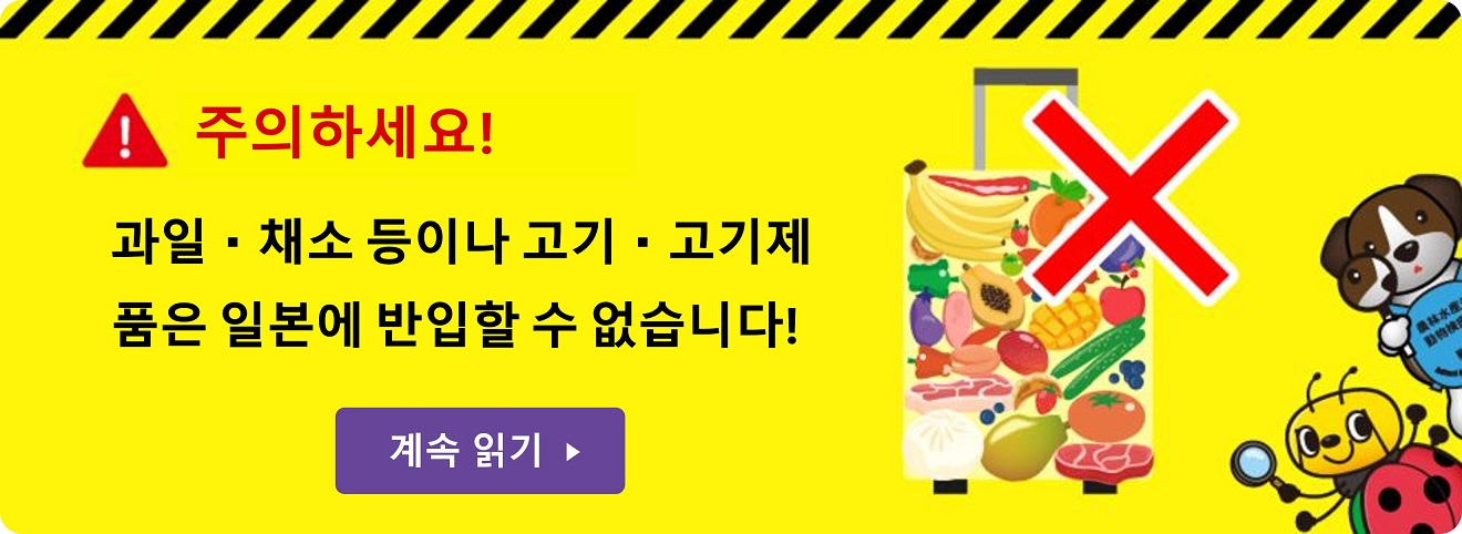 韓国語のバナー
