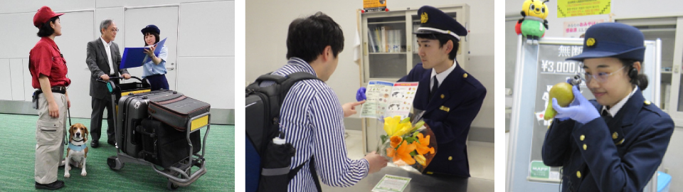 検査時の写真