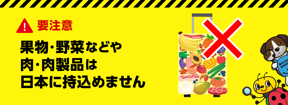 果物・野菜などや肉・肉製品は日本に持込めません