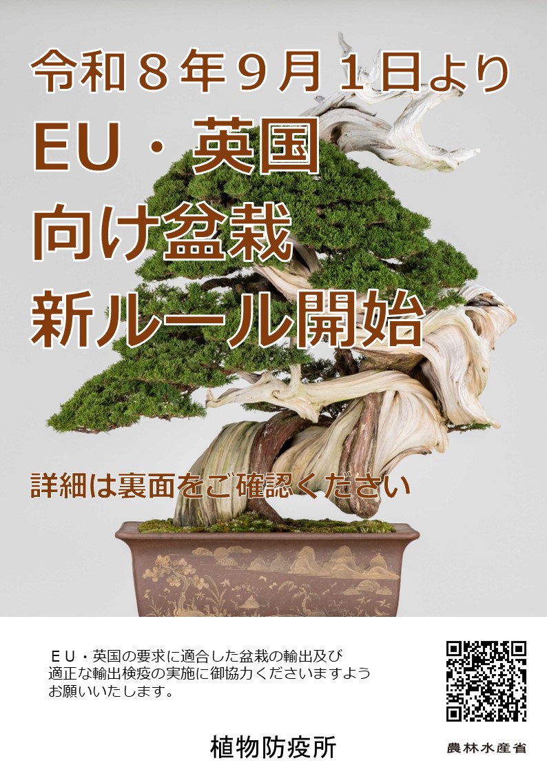 盆栽要領周知チラシ（表面）